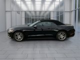 Used 2016 Ford Mustang Premium image 5