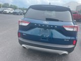 Used 2020 Ford Escape SEL image 3