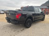 New 2025 Ford F150 XLT image 6