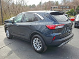 Used 2022 Ford Escape SE w/ Convenience Package image 4