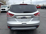 Used 2014 Ford Escape Titanium image 4