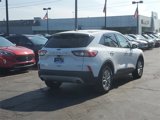 Used 2020 Ford Escape SE image 4