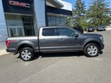 Used 2016 Ford F150 Platinum w/ Equipment Group 701A Luxury image 2