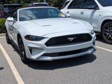 Certified 2023 Ford Mustang Premium image 2