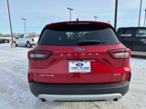 New 2025 Ford Escape Active w/ Cold Weather Package image 4