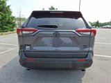 Certified 2019 Toyota RAV4 XLE Premium image 5