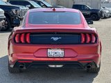 Used 2021 Ford Mustang Coupe w/ Equipment Group 101A image 5