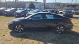 New 2025 Hyundai Elantra Limited image 3