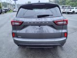 Used 2024 Ford Escape ST-Line w/ Tech Pack #1 image 6