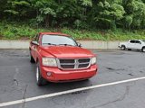 Used 2010 Dodge Dakota ST image 3