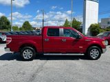 Used 2013 Ford F150 XLT w/ Luxury Equipment Group image 2