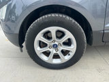 Used 2019 Ford EcoSport SE w/ SE Convenience Package image 4