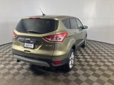 Used 2013 Ford Escape SEL image 5