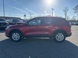 New 2025 Ford Escape Active image 6