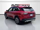 Used 2020 Ford Escape SEL image 5