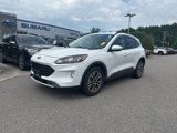 Used 2020 Ford Escape SEL image 2