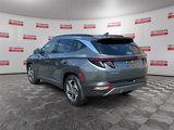 Used 2023 Hyundai Tucson Limited image 3
