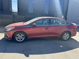 Used 2015 Hyundai Sonata SE w/ Option Group 09 image 2