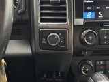 Certified 2017 Ford F150 XLT w/ Equipment Group 302A Luxury image 5
