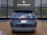 Used 2023 Hyundai Tucson SEL image 6