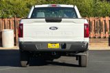 New 2024 Ford F150 XL image 5