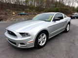 Used 2014 Ford Mustang Coupe w/ Equipment Group 102A image 3