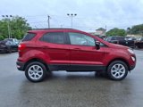 Used 2020 Ford EcoSport SE w/ SE Convenience Package image 3