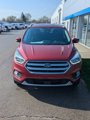 Used 2017 Ford Escape Titanium w/ Equipment Group 301A image 2