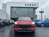 Used 2022 Ford Escape SE w/ Convenience Package image 2