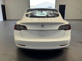 Used 2021 Tesla Model 3 Standard Range Plus image 3