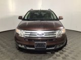Used 2010 Ford Edge SEL image 3