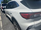 Used 2020 Ford Escape Titanium image 4