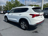 Used 2023 Hyundai Santa Fe SEL w/ Premium Package image 3