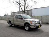 Used 2009 Ford F150 XLT image 4