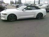 Used 2018 Ford Mustang Premium image 3