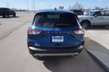 Used 2022 Ford Escape SE w/ Convenience Package image 4