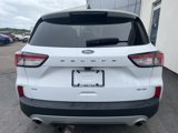 Used 2022 Ford Escape SE w/ Convenience Package image 4