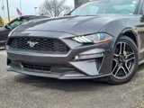 Certified 2019 Ford Mustang Premium w/ Ford Safe & Smart Package image 2