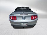 Used 2011 Ford Mustang Premium w/ 201A Rapid Spec Order Code image 5