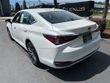 Certified 2024 Lexus ES 250 w/ Premium Package image 3
