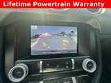 Used 2021 Ford Mustang Premium image 3