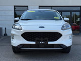 Used 2020 Ford Escape SEL image 4