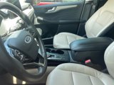 Used 2022 Ford Escape SEL image 2