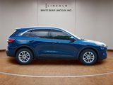 Used 2020 Ford Escape SE image 4
