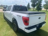 Used 2023 Ford F150 XLT w/ Equipment Group 302A High image 5
