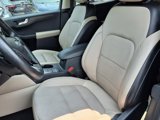 Used 2020 Ford Escape Titanium image 3