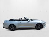 Used 2019 Ford Mustang Premium image 4
