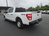 Used 2021 Ford F150 XL w/ Trailer Tow Package image 3