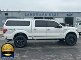 Used 2014 Ford F150 Platinum image 2