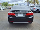 Used 2014 Honda Accord EX-L image 5
